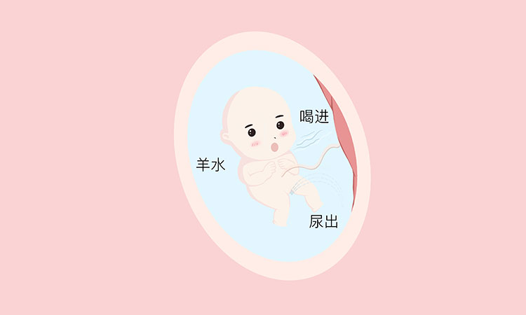 圖片關鍵詞